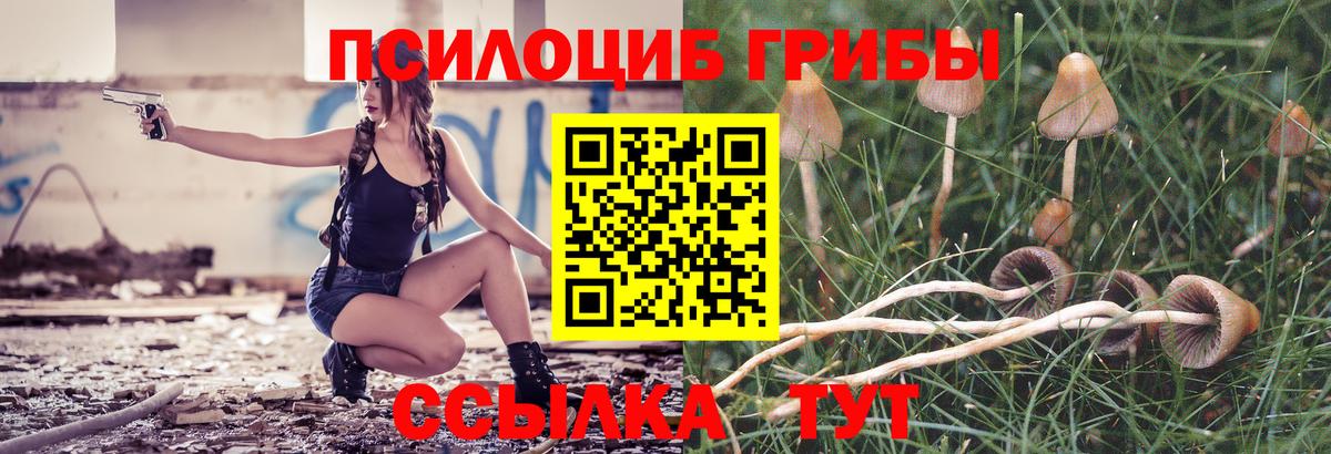 Псилоцибиновые грибы GOLDEN TEACHER Ливны