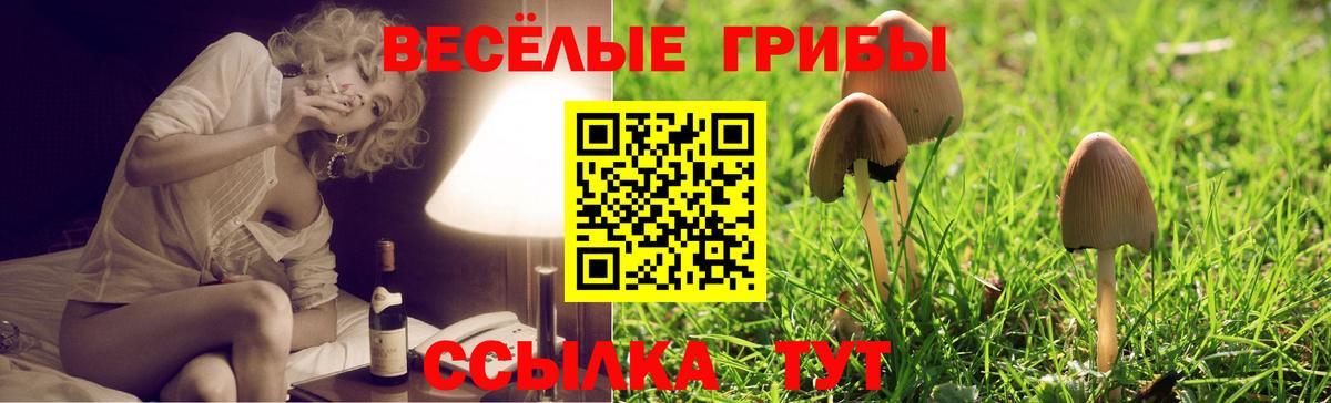 Галлюциногенные грибы прущие грибы  Вход с VPN  Ливны 